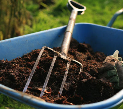 What fertilizers should be applied when planting tomatoes?
