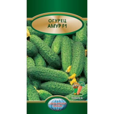 Variété Amour F1