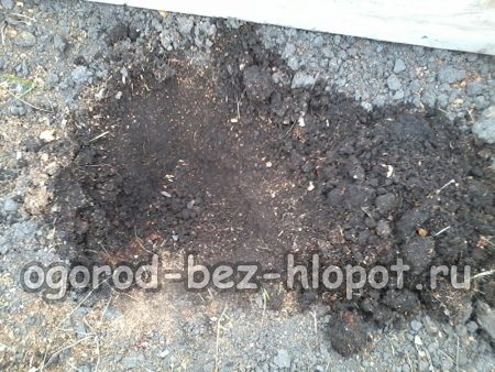 Creusez un trou de deux coups de pelle de profondeur.