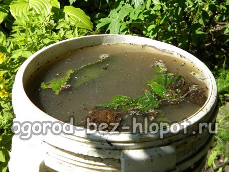 Riempire il contenitore con acqua e lasciare fermentare.
