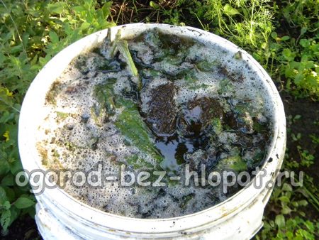 Fertilizzanti organici fai da te