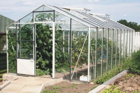 Comment choisir la serre idéale pour votre maison d'été