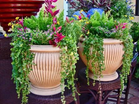 Blumen in Vasen in der Datscha