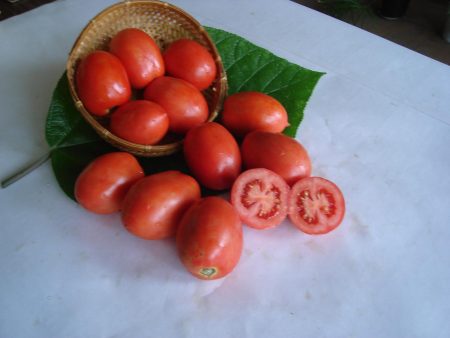description de la tomate Shuttle