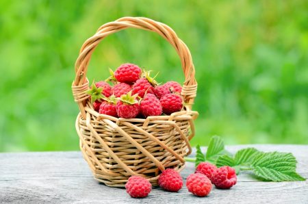 Pflege von Frühlingshimbeeren: Tipps von erfahrenen Gärtnern