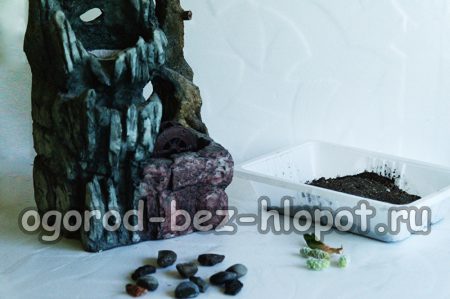 materiali per creare una composizione succulenta