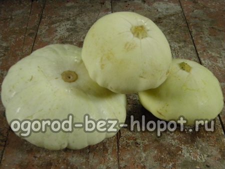 Culture et entretien des courges