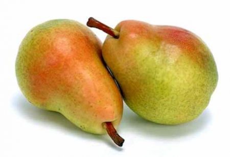 Poire « Prosto Maria » : description, photo, avis
