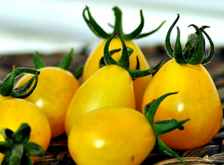 Pomodoro "De Barao": caratteristiche e descrizione della varietà