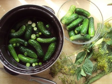 Concombres légèrement salés : une recette rapide à la casserole