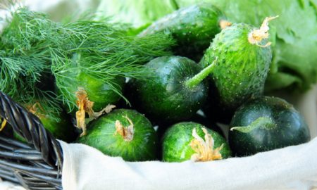 Pepinos ligeramente salados en bolsa: una receta rápida en 5 minutos