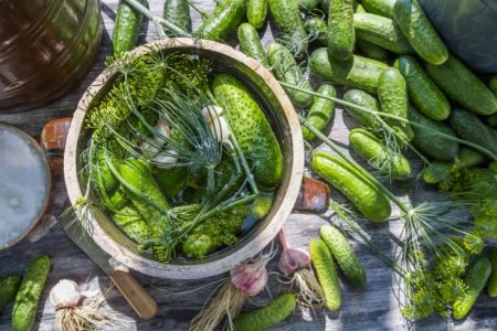 Concombres légèrement salés : une recette rapide à la casserole