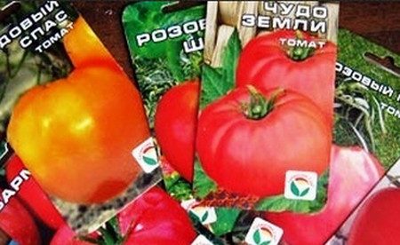 Welche Tomatensamen eignen sich am besten für Gewächshäuser? – Expertenbewertungen