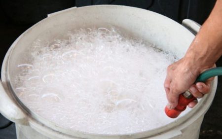 come sbarazzarsi per sempre delle formiche in giardino con rimedi popolari