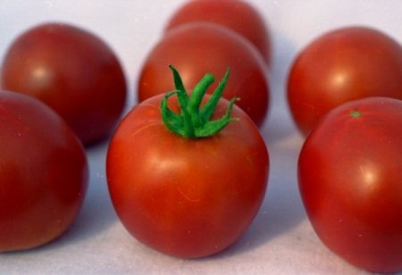 Descripción y características de la variedad de tomate Naliv blanco, con foto