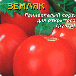 tomat-zemlyak-urozhacnost-foto-otzyvy-kto-sazhal