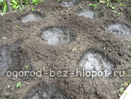 Riempi i buchi con acqua