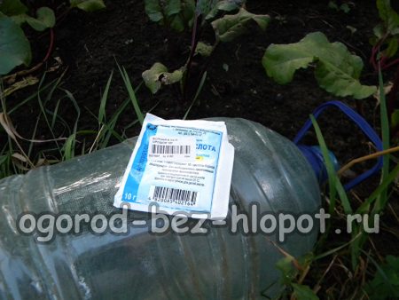 Wurzeldüngung von Rübenbeeten mit Borsäure