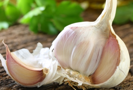 How to prepare a bed for garlic for fall planting