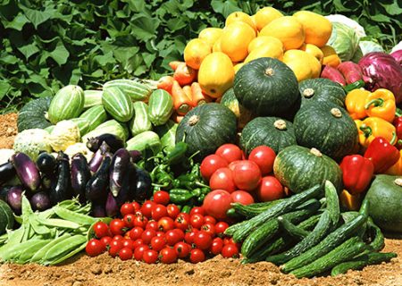 Que planter après les carottes l'année prochaine