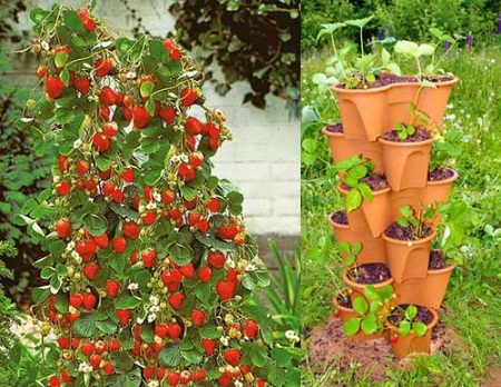 Selbstgebaute Hochbeete für Erdbeeren