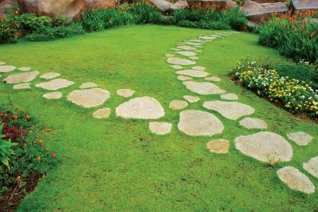 chemin de pierres