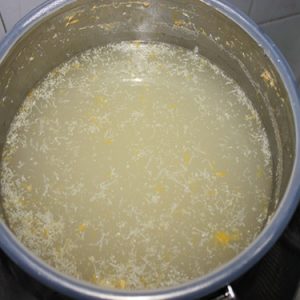 recette de préparation d'engrais à base de levure pour plantes