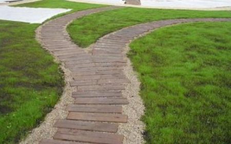 chemin d'arbre