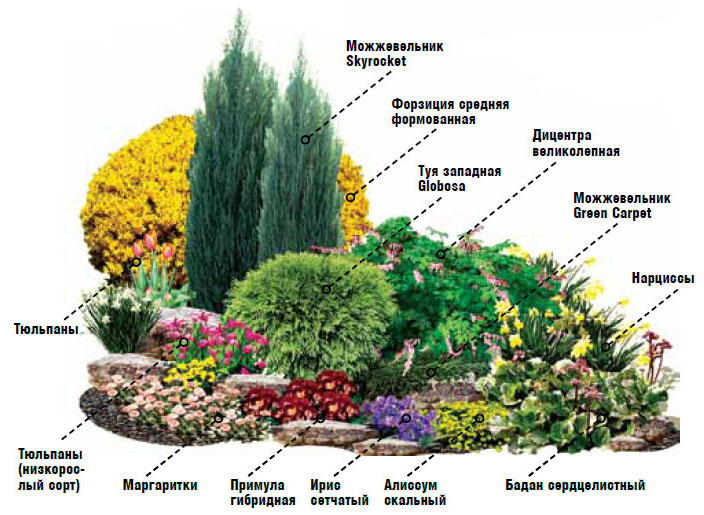 cveniki-i-klumby-schemes-chto-sazhat