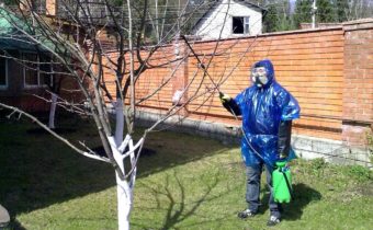culture horticole