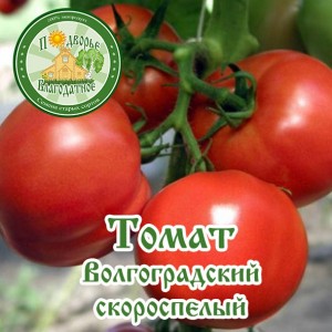 Pomodori per terreni aperti