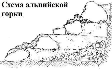 toboggan alpin