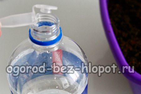 verdünnter Zirkon