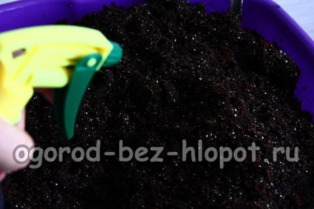 Besprühen Sie die Bodenmischung mit Zirkon