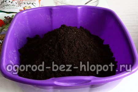 Bodengrundlage