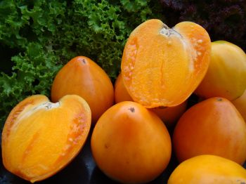 Tomate Orange Heart : Caractéristiques et description de la variété, Avis