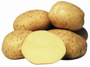 Pomme de terre Gala : description de la variété, photos, avis