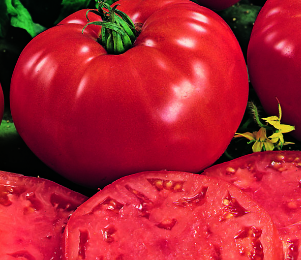 Tomate Beefsteak : avis, caractéristiques et description de la variété