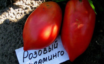 Tomate Pink Flamingo : caractéristiques et description de la variété, avis, photos