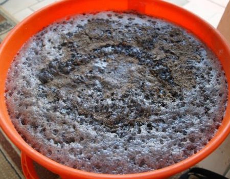 Gras- und Hefedünger für Tomaten