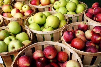 Äpfel verschiedener Sorten