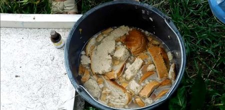 Brotkrusten zum Füttern von Tomaten
