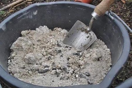 Düngung von Auberginen mit Asche
