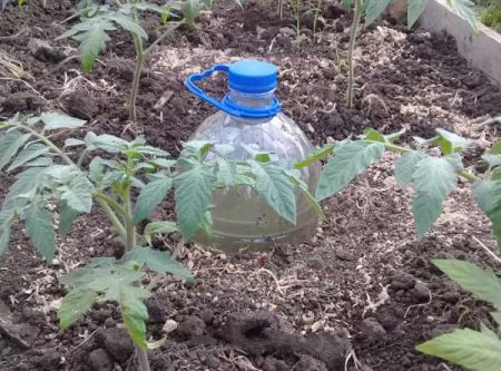 plastik şişelerden damla sulama