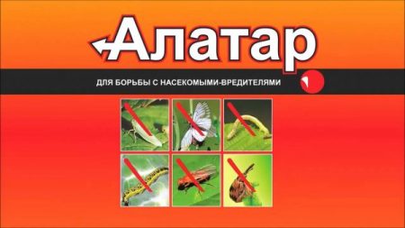 Αλατάρ