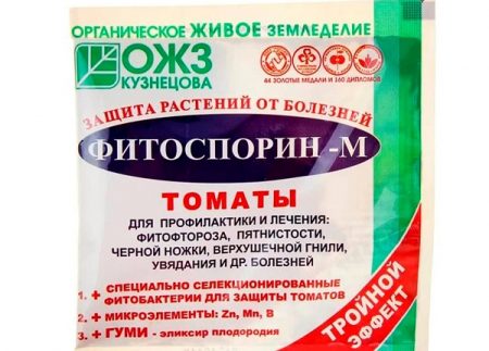 Fitosporin M gegen Krautfäule