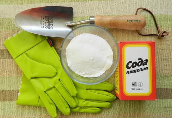 soda pour le jardin