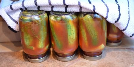 cetrioli in salsa di pomodoro con cipolle e aglio