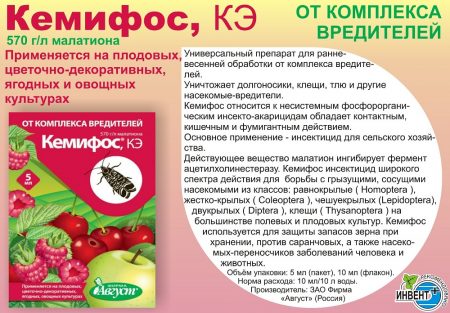 Κέμιφος