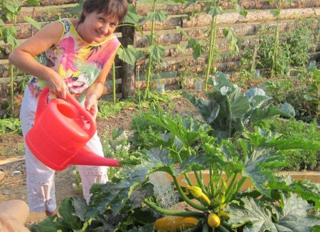 Eine Frau gießt Zucchini